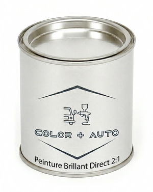 Peinture 2:1 Brillant direct Qualité industriel