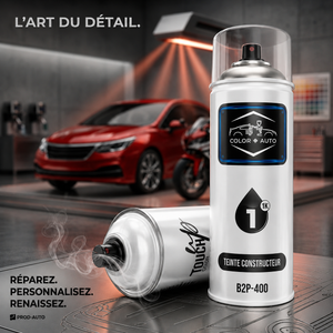 Bombe de Peinture au Code couleur 400 ml