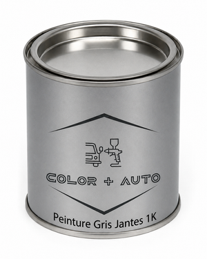 Peinture Gris Jante 1L 1K