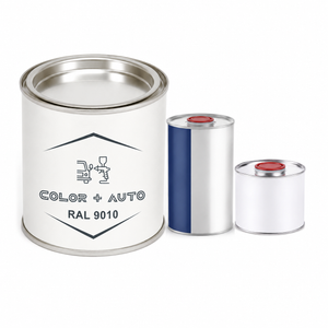 kit Peinture Blanc Brillant RAL 9010 2K + durcisseur + Diluant