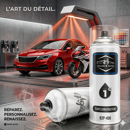 Bombe de Peinture au Code couleur 400 ml