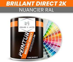 Peinture RAL 2:1 Brillant direct au Kilo Industriel